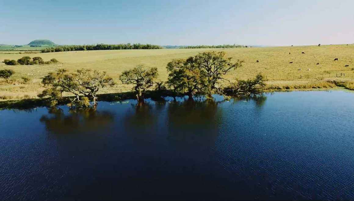 Campanha Gaúcha, um destino a ser descoberto