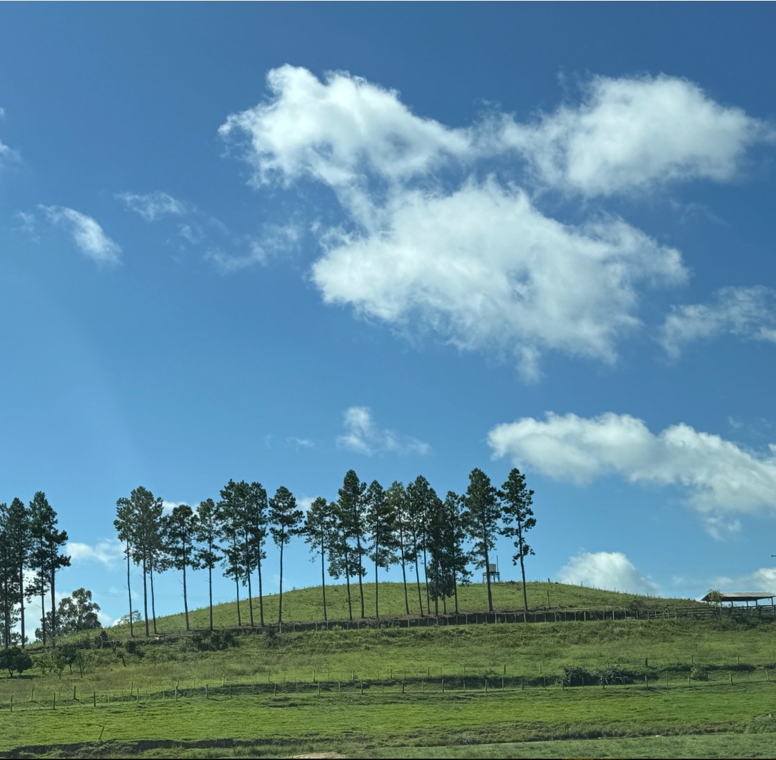 Representantes de cinco vinícolas da região dos Campos de Cima da Serra - Campestre, Família Lemos de Almeida, RAR, Sopra e Aracuri – pesquisadores e integrantes de instituições parceiras finalizaram uma parte importante na busca pela Denominação de Origem para os vinhos finos e espumantes da região dos Campos de Cima da Serra. O Brasil hoje tem 13 Indicações Geográficas, sendo 10 Indicações de Procedência e 3 Denominações de Origem – Vale dos Vinhedos e Altos de Pinto Bandeira, no Rio Grande do Sul, e a mais recente dos Vales da Uva Goethe, em Santa Catarina.